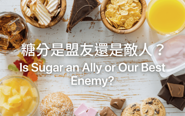 Is Sugar an Ally or Our Best Enemy?  糖分是盟友還是敵人？